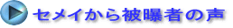 セメイから被曝者の声